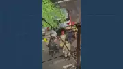 Homem é assassinado a tiros em Niterói durante tentativa de roubo de veículo