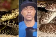 Homem picado por jararacuçu recebe soro errado para cascavel e fica entre a vida e a morte