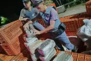 Homem é preso com 135 kg de maconha em caminhão na SP-294 em Adamantina