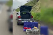 Homem é preso com 260 tabletes de maconha na Rodovia Raposo Tavares em Sarapuí