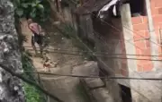 Homem é preso no RJ por matar cachorro do vizinho e arrastar corpo em via pública