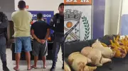 Homem é preso por transportar sete tatus abatidos ilegalmente na MA-125 no Maranhão