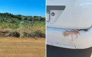 Homens matam a facadas durante festa e abandonam corpo em rodovia em GO