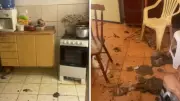 Idosa de 78 anos é encontrada em situação de abandono com animais em apartamento insalubre em Jundiaí