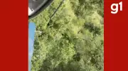 Idoso de 70 anos desaparecido é resgatado por helicóptero em mata de Santo Antônio do Leverger