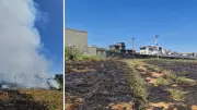 Incêndio consome pastagem em distrito de Rio Preto (SP) e bombeiros controlam chamas