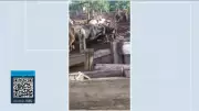 Incêndio em prédio comercial no Distrito Federal mobiliza bombeiros nesta quinta-feira