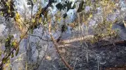 Incêndio por balão na Floresta da Tijuca dura mais de 24h e fecha 5 trilhas