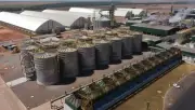Indústria de etanol de milho em Mato Grosso projeta alta de 17,8% na produção até 2027