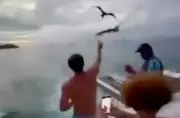 Influenciador Carlinhos Maia é multado em R$ 1 milhão por alimentar aves em Noronha