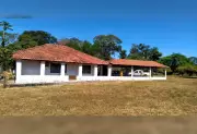 Infância de Ayrton Senna no Tocantins: Férias na Fazenda Caraíbas moldaram o ídolo