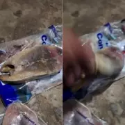 Intoxicação Alimentar em Angicos: Moradores Passam Mal Após Consumir Peixes da Prefeitura
