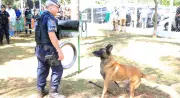 Itu inaugura 'Espaço Cão Orelha' em homenagem a cachorro morto e anuncia veículos para resgate animal