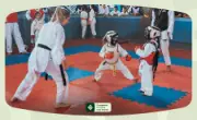 IV Copa CrediSIS de Karatê Interestilos reúne 750 inscrições em Ji-Paraná