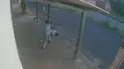Jovem em situação de rua é atacado com pauladas na cabeça em Uberlândia