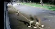 Jovens causam prejuízo de R$ 2 mil ao darem 'voadora' em portão em Uberlândia