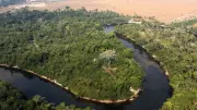 Justiça mantém embargo de área desmatada ilegalmente em Lábrea, no Amazonas