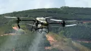 Justiça mantém suspensão de pulverização aérea de agrotóxicos em Timbiras, MA
