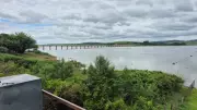 Lago de Furnas: Ecossistema em risco com espécies invasoras e contaminantes emergentes