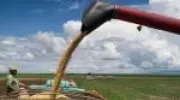 Limites do Crescimento Brasileiro: Produtividade Baixa e Desemprego Mínimo Preocupam
