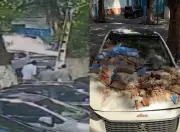 Marquise desaba e atinge carro estacionado no Centro do Recife