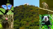 Mata do Convento da Penha em Vila Velha revela santuário ecológico em meio à fé