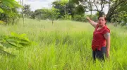 Mato alto toma praça no Jardim Primor e gera medo entre moradores em Araraquara