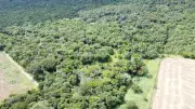 Mecânico sobrevive 20 dias perdido em mata densa do Tocantins graças a treinamento de brigadista
