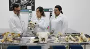 Medicina Veterinária UniAteneu: docentes inspiram alunos além da sala de aula