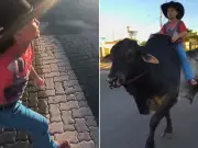 Menina de 8 anos tem sonho realizado ao ser buscada na escola por touro de estimação em Ibaté