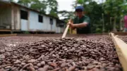 Ministério da Ciência abre R$150 milhões para projetos sustentáveis na agricultura familiar