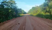 Ministério dos Transportes lança editais para obras na BR-319 no Amazonas