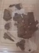 Missão arqueológica encontra papiro da Ilíada de Homero dentro de múmia egípcia