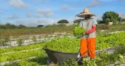 Montes Claros lança Promater: assistência técnica gratuita para agricultores