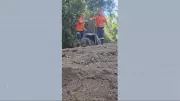 Morador de Ouro Branco captura jaguatirica em galinheiro após ataques a galinhas