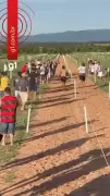 Moradores de Acorizal transformam hipódromo em pista de corrida popular
