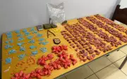 Motoentregador desconfia de encomenda e ajuda polícia a prender suspeitos de tráfico em Taubaté