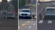 Motorista flagrado dirigindo com cachorro preso do lado de fora do carro em Ponta Grossa