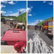 Motorista morre após caminhão boiadeiro tombar na BR-365 em Minas Gerais