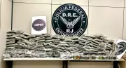 Motorista é preso com 100 kg de maconha e haxixe escondidos em caixas na Via Dutra