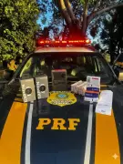 Motorista é preso com 76 ampolas de tirzepatida proibidas pela Anvisa na BR-365