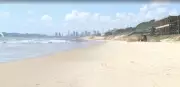 MPF investiga proteção à fauna marinha na Via Costeira de Natal após estudo alarmante
