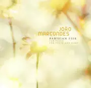 Música e Democracia: Como a Arte Pode Aquecer os Dias de Frio Político no Brasil
