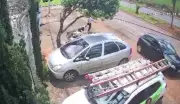Mulher de 44 anos é atacada por pit bull em Patos de Minas; tutor é autuado