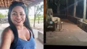 Mulher de 49 anos morre atacada por pitbull ao dar banho no animal no Maranhão
