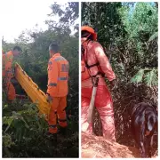 Mulher desaparecida há 4 dias é encontrada em mata em Francisco Sá