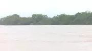 Naufrágio no Rio Machado deixa quatro desaparecidos em RO