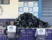 Operação apreende 300 kg de maconha skunk na Via Dutra, em Itatiaia