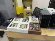 Operação investiga fraude de R$ 60 milhões contra planos de saúde em SP