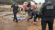 Operação Maré de Ferro apreende 282 kg de drogas e causa prejuízo de R$ 5,5 milhões ao tráfico no Pará